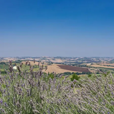 Villa Casale Verdicchio 10&2, Emma *